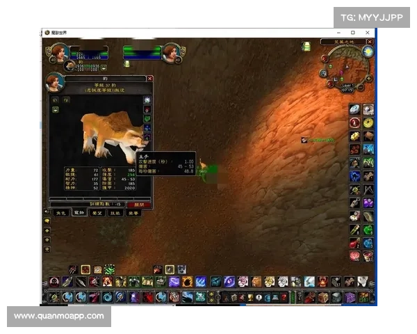 魔兽世界技能栏监测：探寻对方能力的关键